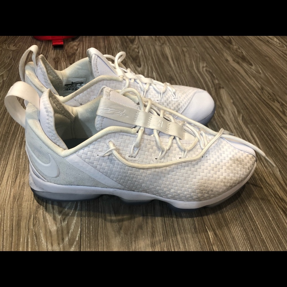Nike Lebron James basketball shoes